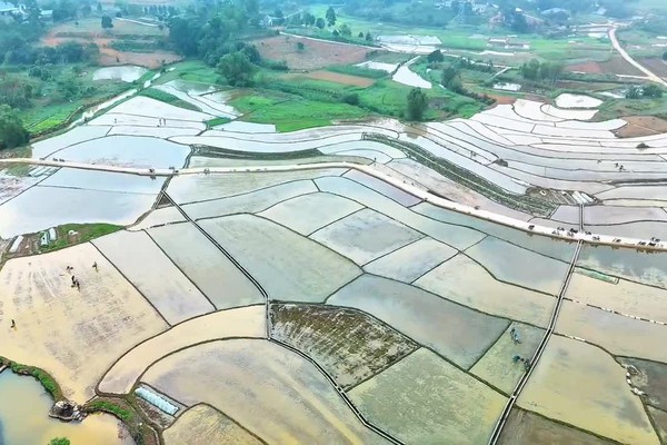 VỤ XUÂN TRÊN QUÊ HƯƠNG BA VÌ