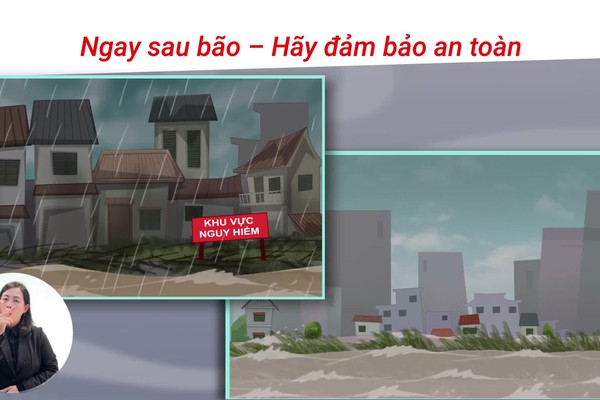 Những Việc Cần Làm Sau Bão Để Khắc Phục Hậu Quả Và An Toàn