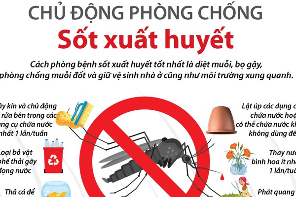 Chủ động phòng chống sốt xuất huyết