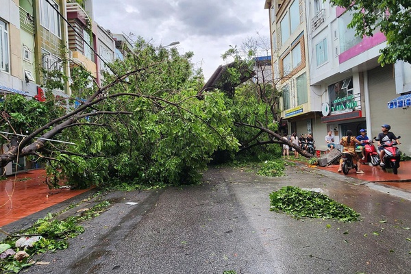 Hướng dẫn kỹ năng ứng phó với bão số 3 (bão WIPHA).