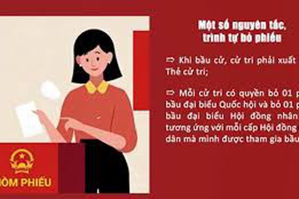 Một số quy định nguyên tắc, trình tự bỏ phiếu bầu cử: