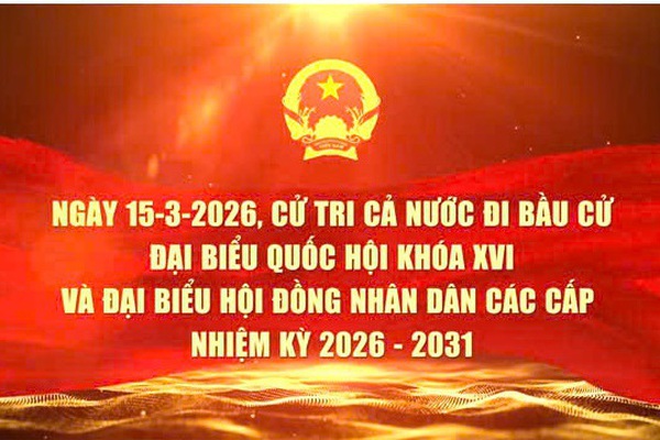 05 video tuyên truyền pháp luật về bầu cử