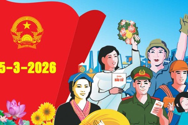 QUY TRÌNH BẦU CỬ NGÀY 15.3.2026