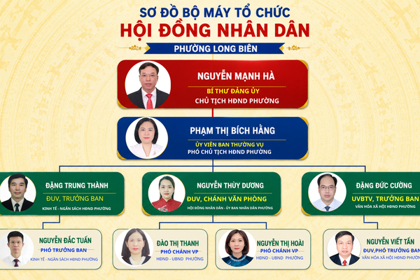Sơ đồ tổ chức bộ máy Hội đồng nhân dân phường Long Biên