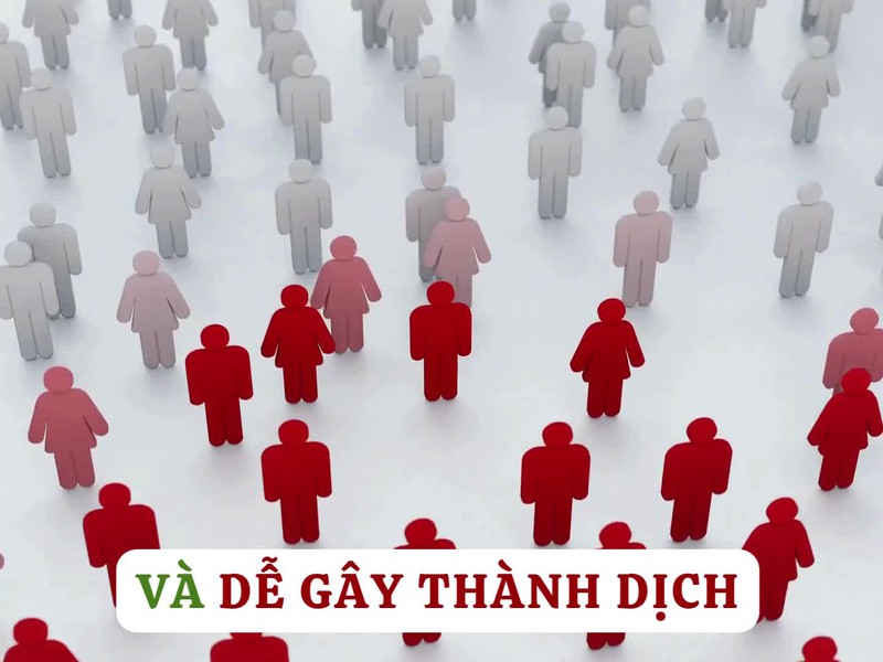 Bệnh viêm màng não mô cầu và các biện pháp phòng chống