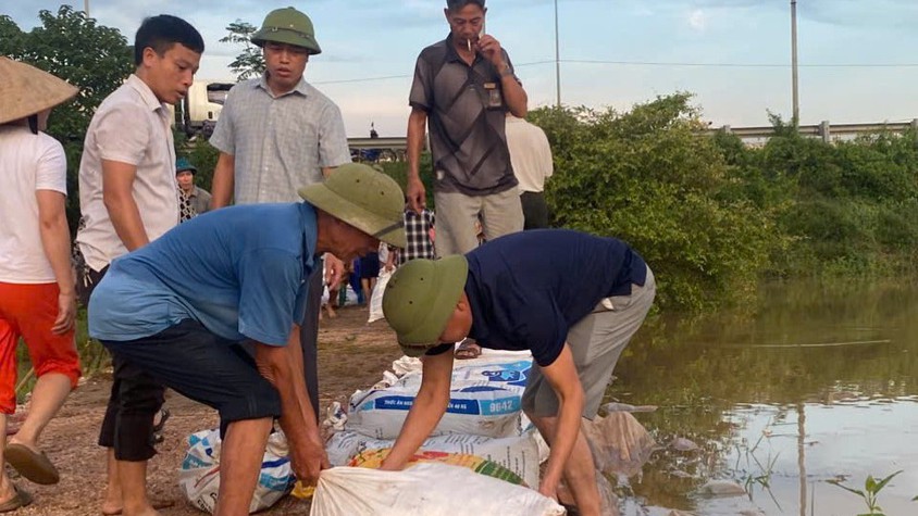 THÔN THỤY HƯƠNG GIA CỐ ĐÊ NGĂN LỤT TRÀN