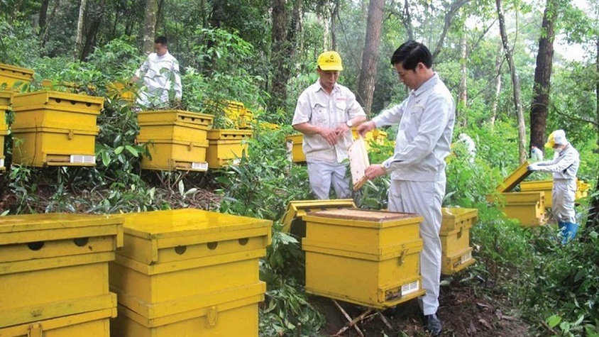 Hà Nội phê duyệt quy trình nội bộ, quy trình điện tử giải quyết thủ tục hành chính được sửa đổi, bổ sung trong lĩnh vực xuất nhập khẩu