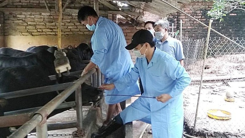 Hà Nội ủy quyền cho Giám đốc Sở Nông nghiệp và Môi trường giải quyết 28 thủ tục hành chính lĩnh vực Chăn nuôi, Thủy sản và Thú y