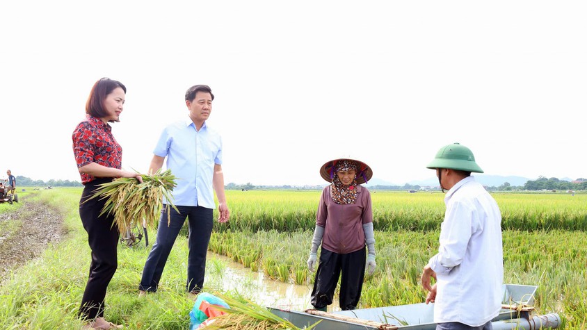 Giám đốc Sở Nông Nghiệp và Môi trường thành phố Hà Nội thăm và chỉ đạo công tác phòng chống lũ lụt tại xã Đa Phúc
