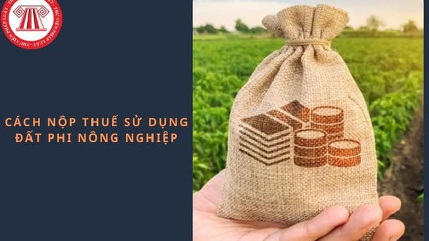 UBND xã Sóc Sơn Hướng dẫn nộp thuế sử dụng đất phi nông nghiệp qua ứng dụng eTax Mobile