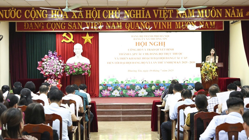 Đảng ủy xã Thường Tín thành lập 95 đảng bộ, chi bộ trực thuộc
