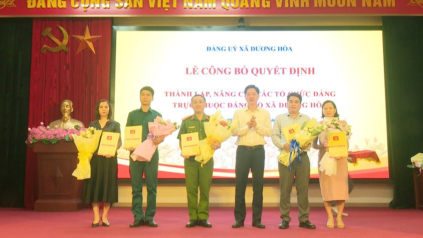 Đảng uỷ xã Dương Hoà công bố Quyết định thành lập, nâng cấp các tổ chức cơ sở Đảng và triển khai một số nhiệm vụ trọng tâm