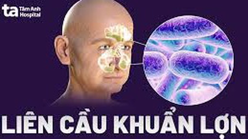 TUYÊN TRUYỀN BỆNH LIÊN CẦU LỢN LÂY CHO NGƯỜI VÀ CÁC BIỆN PHÁP PHÒNG TRÁNH
