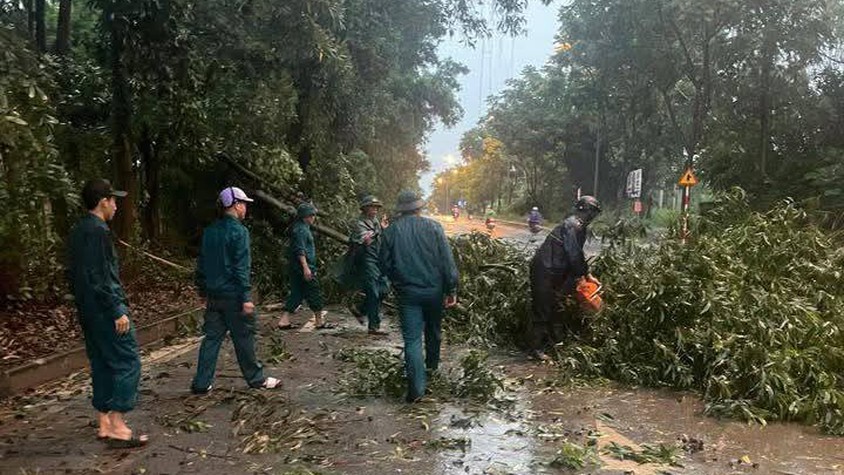 Hòa Lạc kích hoạt phương châm “4 tại chỗ” ứng phó bão số 3