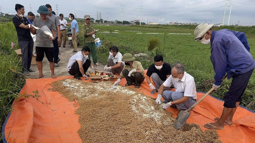 HTX nông nghiệp Ninh Sở (xã Hồng Vân) diệt chuột, bảo vệ lúa vụ mùa 2025.