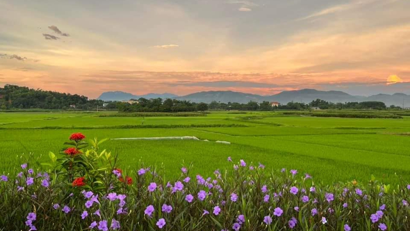 LỊCH TIẾP CÔNG DÂN CỦA THƯỜNG TRỰC VÀ ĐẠI BIỂU HĐND XÃ BA VÌ QUÝ III NĂM 2025