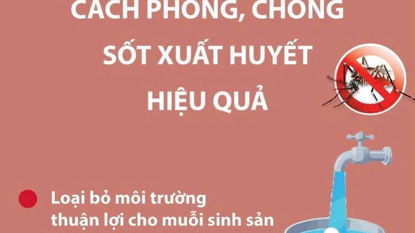 Cách phòng, tránh sốt xuất huyết hiệu quả