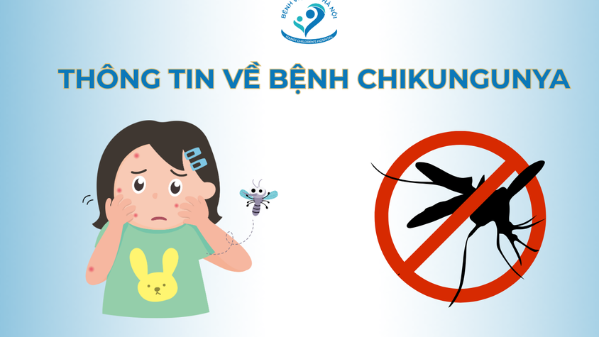 Bệnh CHIKUNGUNYA và cách phòng tránh