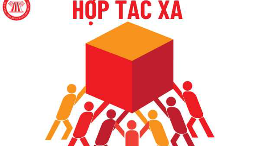 DANH SÁCH HỢP TÁC XÃ ĐĂNG KÝ THÁNG 8 NĂM 2025