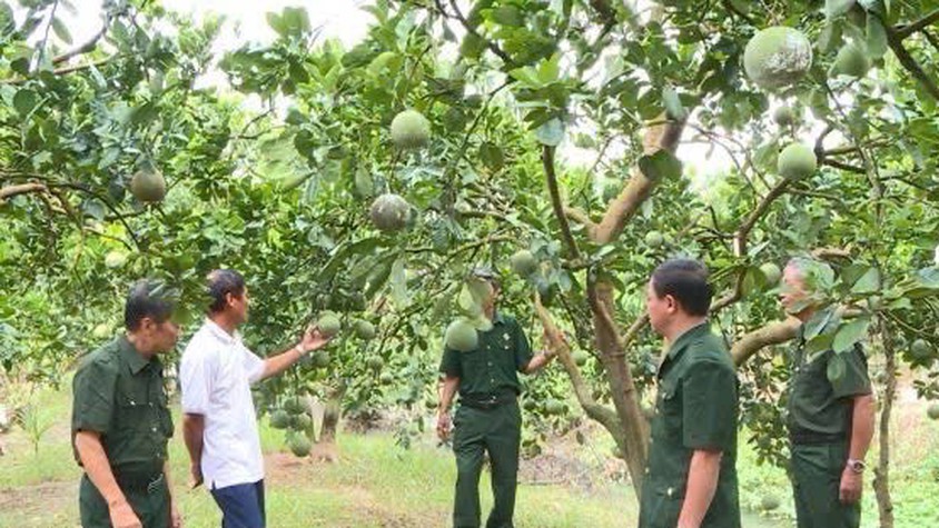 Gương sáng Cựu chiến binh làm kinh tế giỏi