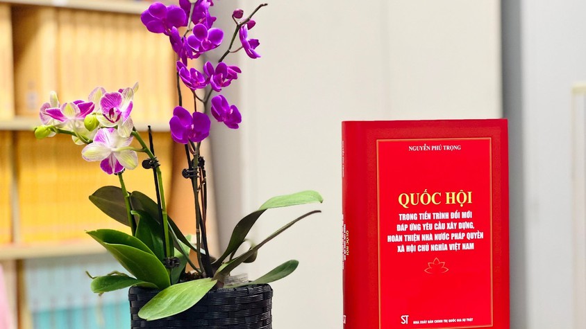 TIẾP TỤC ĐỔI MỚI TỔ CHỨC VÀ HOẠT ĐỘNG CỦA QUỐC HỘI TRONG KỶ NGUYÊN MỚI