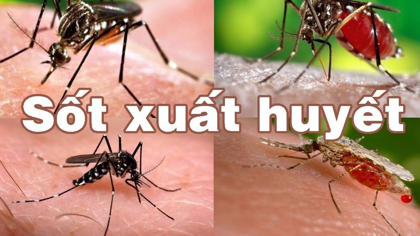 TĂNG CƯỜNG CÔNG TÁC PHÒNG CHỐNG SỐT XUẤT HUYẾT TRÊN ĐỊA BÀN PHƯỜNG YÊN NGHĨA