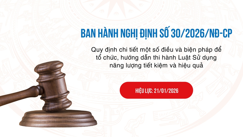 Chính phủ ban hành Nghị định 30/2026/NĐ-CP hướng dẫn Luật Sử dụng năng lượng tiết kiệm và hiệu quả