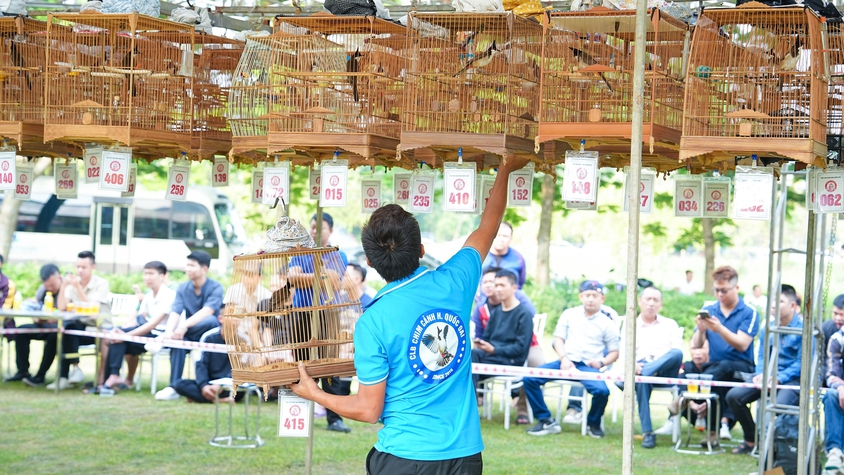 SÔI NỔI HỘI THI 