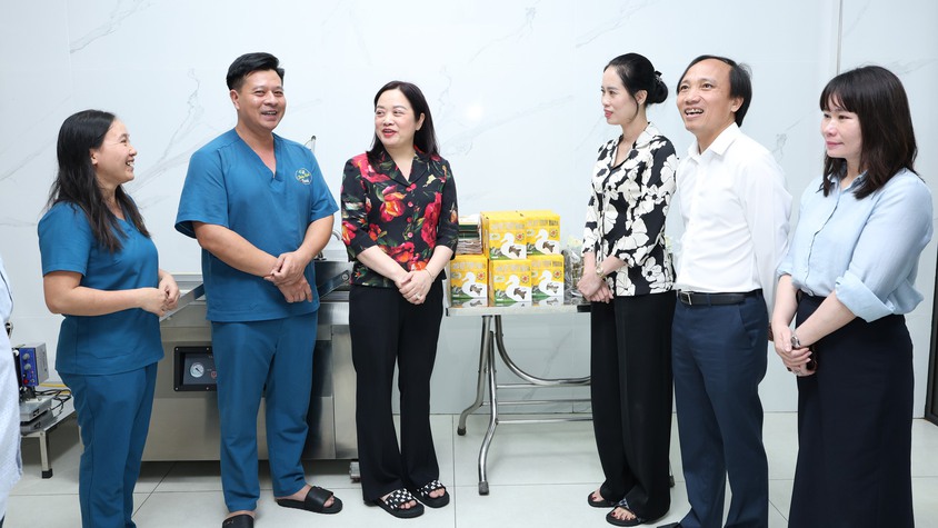 Lãnh đạo xã Vân Đình thăm, dâng hương tại Phủ Ứng Thiên và khảo sát cơ sở sản xuất chả vịt Thúy Mạnh