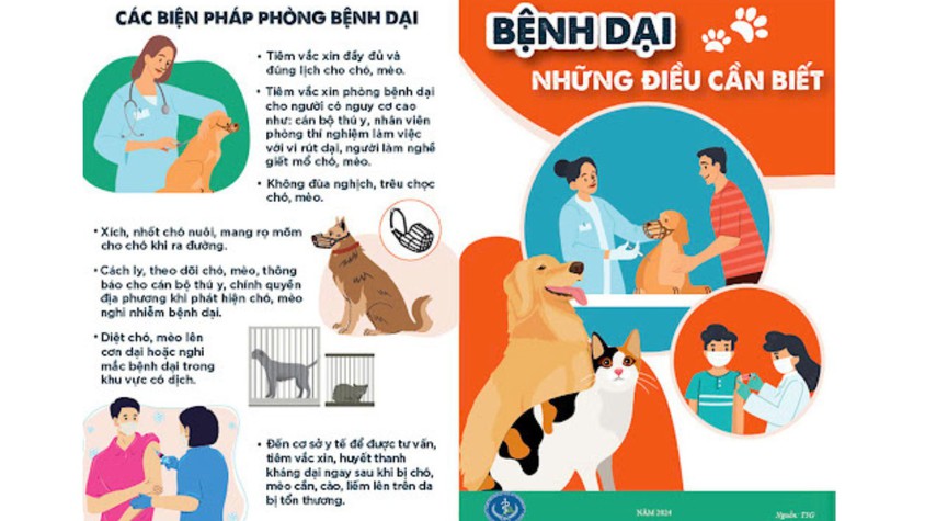 Bệnh Dại và các biện pháp phòng, chống dịch bệnh