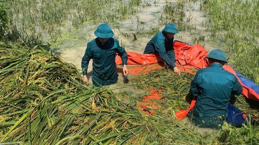 Lịch sử hình thành và phát triển của Dân quân tự vệ