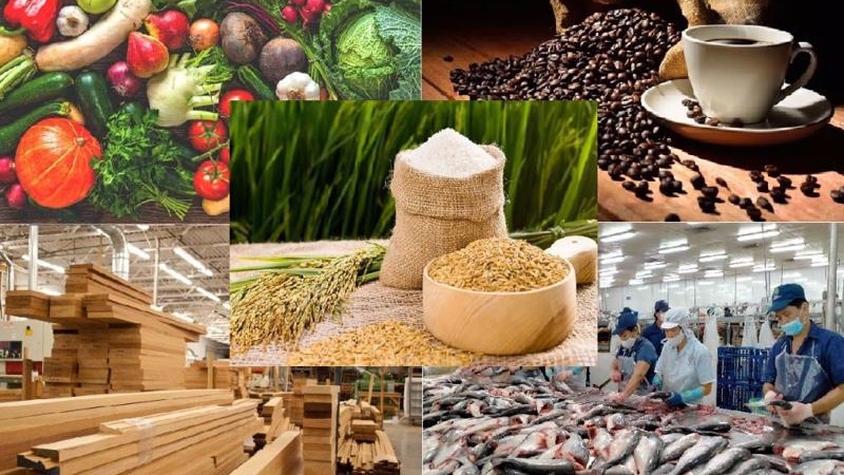 Đăng tải thông tin hộ kinh doanh đã thực hiện tự công bố sản phẩm lĩnh vực Nông lâm thủy sản