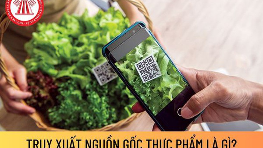 Mỗi người dân cần mua bán và sử dụng thực phẩm rõ nguồn gốc