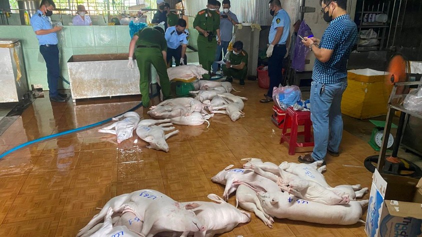 Kết luận của Phó Chủ tịch UBND xã - Đỗ Xuân Tình tại hội nghị kiểm điểm kết quả thực hiện kế hoạch về quản lý, giết mổ, vận chuyển, kinh doanh động vật và sản phẩm động vật, đảm bảo an toàn thực phẩm