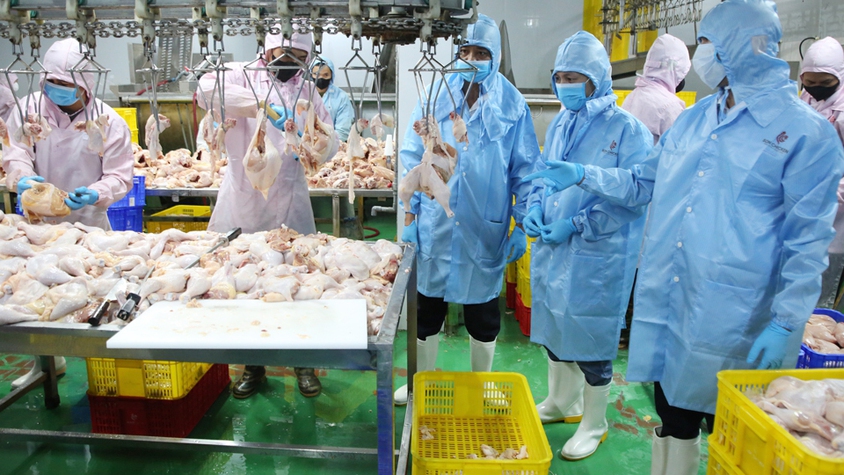 Thực hiện kiểm soát giết mổ, kiểm tra vệ sinh thú y tại các cơ sở được phép hoạt động