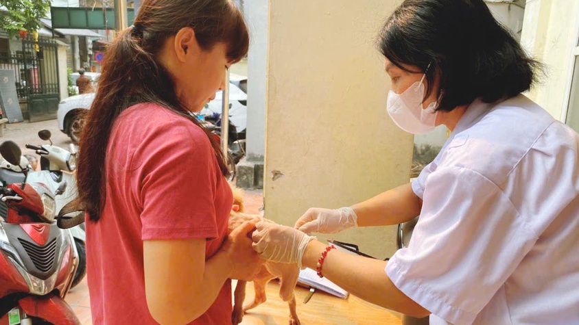Phường Thanh Liệt: Hoàn thành chi tiêu tiêm phòng dại cho chó, mèo đợt 1/2026