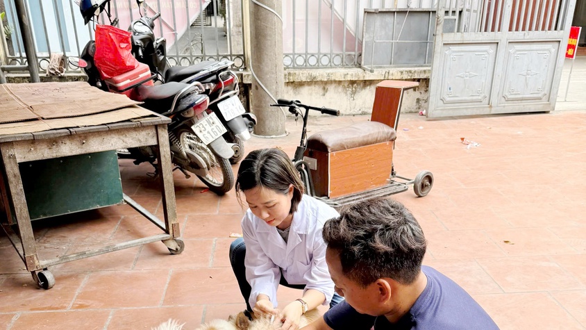 QUỐC OAI ĐẨY MẠNH TIÊM PHÒNG VẮC XIN DẠI CHO ĐÀN CHÓ, MÈO NĂM 2026