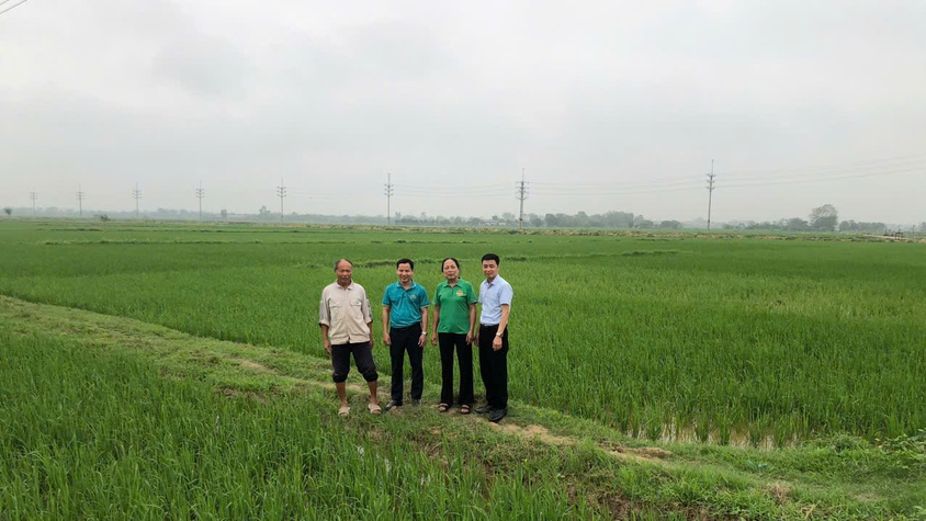 THẨM ĐỊNH THỰC TẾ PHƯƠNG ÁN VAY VỐN QUỸ HỖ TRỢ NÔNG DÂN