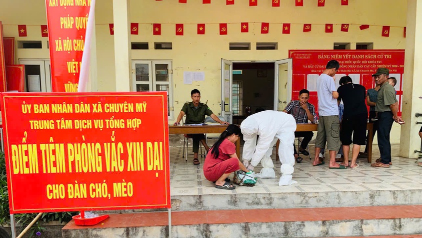 Chuyên Mỹ:Triển khai tiêm vắc xin phòng, dại cho đàn chó, mèo và tiêm phòng vắc xin cho đàn gia súc, gia cầm