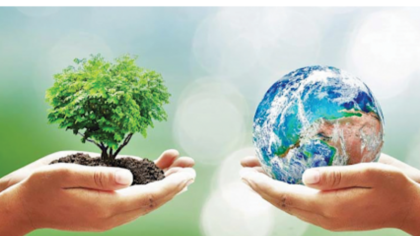 Phường Kiến Hưng quyết liệt hành động để xóa bỏ 