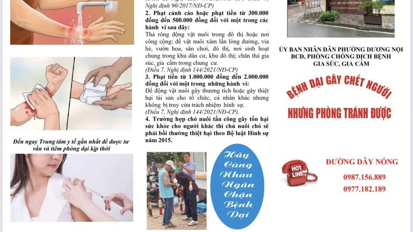 Phường Dương Nội chủ động triển khai các biện pháp phòng chống bệnh dại, hướng tới mục tiêu khống chế và tiến tới loại trừ bệnh dại vào năm 2030