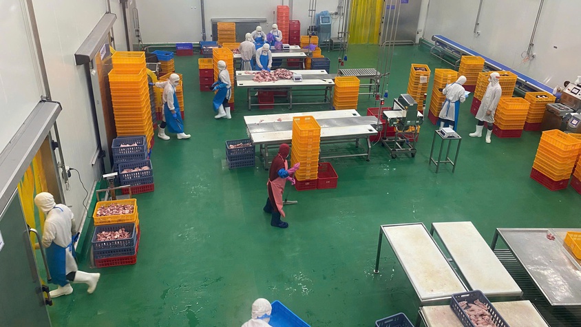 Xã Thường Tín: đẩy mạnh truy xuất nguồn gốc thực phẩm học đường trong 