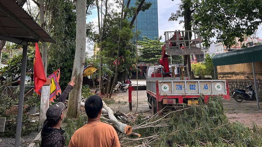 Xuân Mai triển khai kế hoạch cắt tỉa cây xanh đảm bảo cảnh quan, mỹ quan đô thị, phòng chống thiên tai trên địa bàn