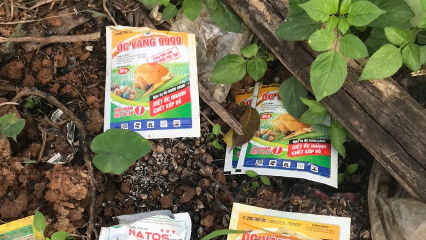 TĂNG CƯỜNG THU GOM, XỬ LÝ VỎ BAO GÓI THUỐC BẢO VỆ THỰC VẬT SAU SỬ DỤNG