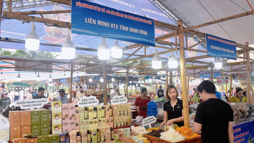 Sôi động “Tuần hàng Kinh tế tập thể - Đưa sản phẩm HTX đến người tiêu dùng Thủ đô năm 2026” tại Công viên Phùng Khoang
