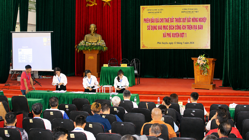Phiên đấu giá cho thuê đất thuộc Quỹ đất nông nghiệp sử dụng vào mục đích công ích trên địa bàn xã Phú Xuyên