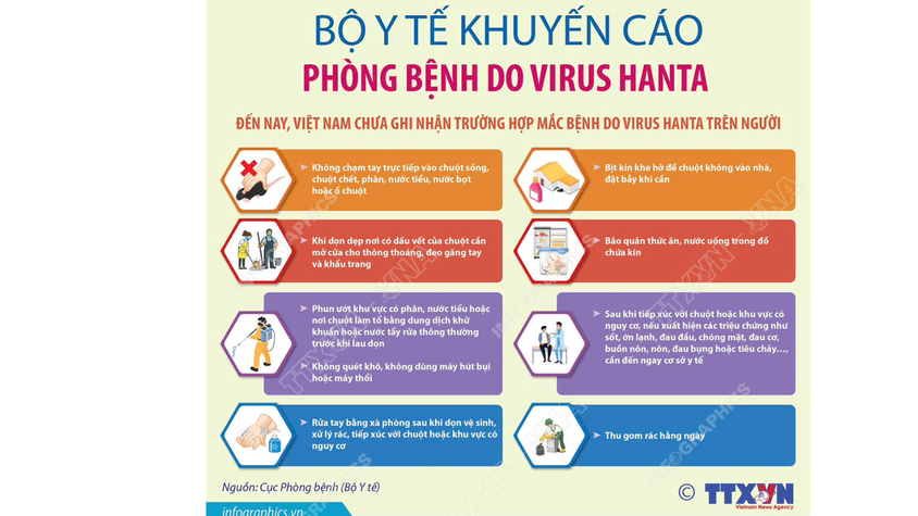 Bộ Y tế Khuyến cáo các biện pháp chủ động phòng bệnh do Virus Hanta