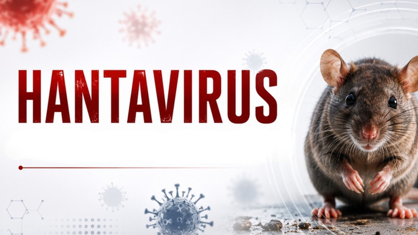 WHO ĐÁNH GIÁ NGUY CƠ LÂY LAN HANTAVIRUS RA CỘNG ĐỒNG Ở MỨC THẤP