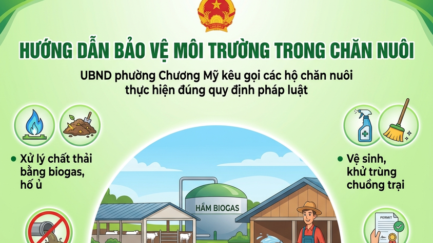 Hướng dẫn thực hiện các quy định về bảo vệ môi trường trong hoạt động chăn nuôi trên địa bàn phường Chương Mỹ