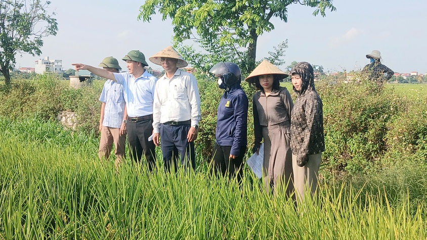 Ứng Hòa nghiệm thu diện tích cấy lúa bằng máy vụ Xuân năm 2026.